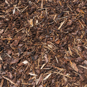 Bark